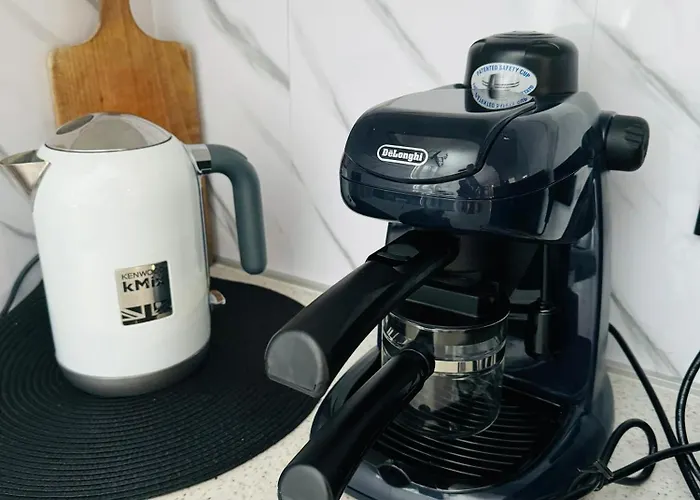 Vincentow מישלניצה