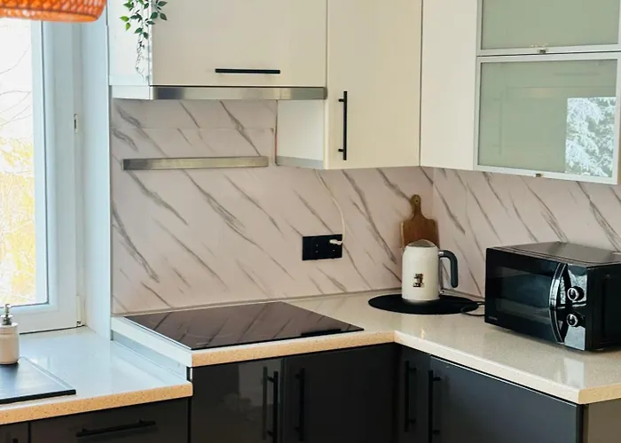 Vincentow דירה מישלניצה