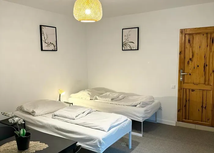 Vincentow מישלניצה